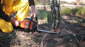 Lawn Grading and Leveling